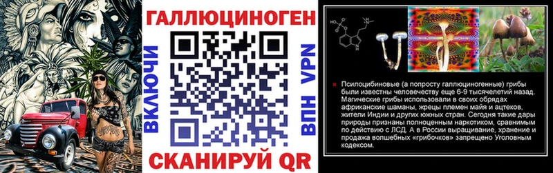 дарнет шоп  Алейск  Псилоцибиновые грибы GOLDEN TEACHER 